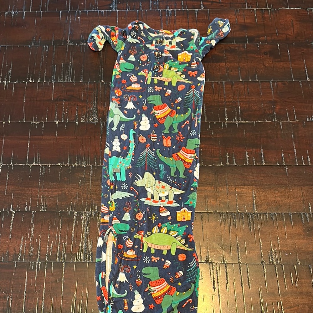 Blue and Green Sleep Sacks with Dinosaur Adventure